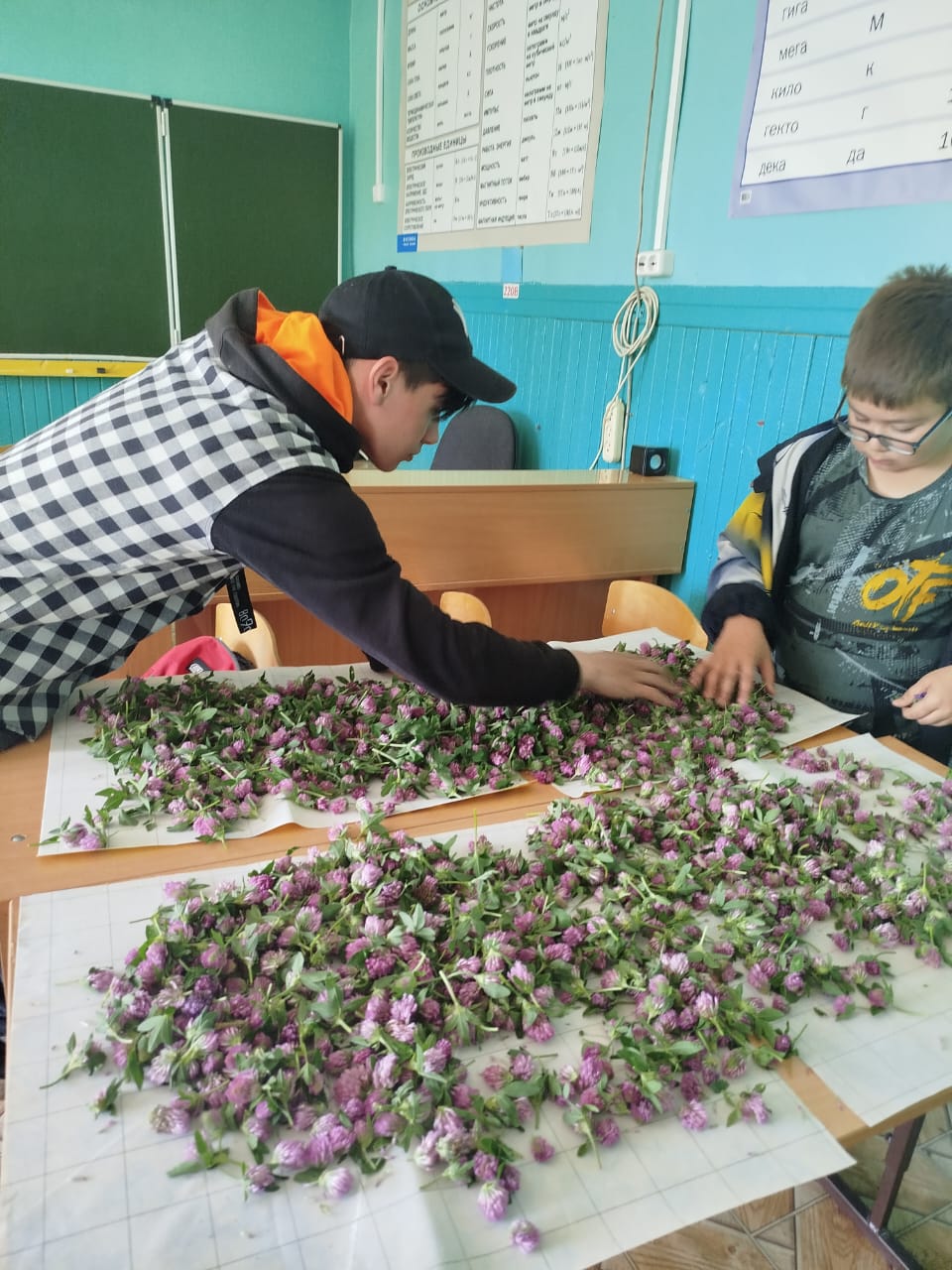 Зеленый патруль.